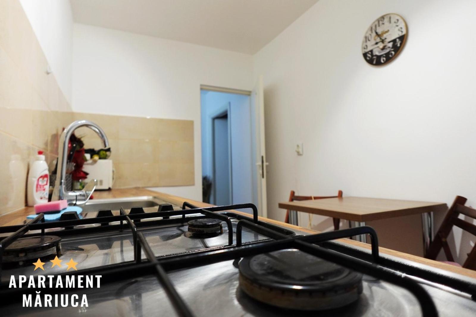 Mariuca Apartament Buşteni Екстериор снимка