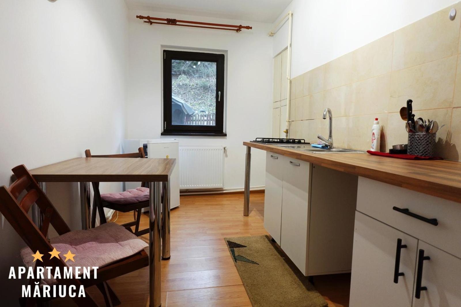 Mariuca Apartament Buşteni Екстериор снимка