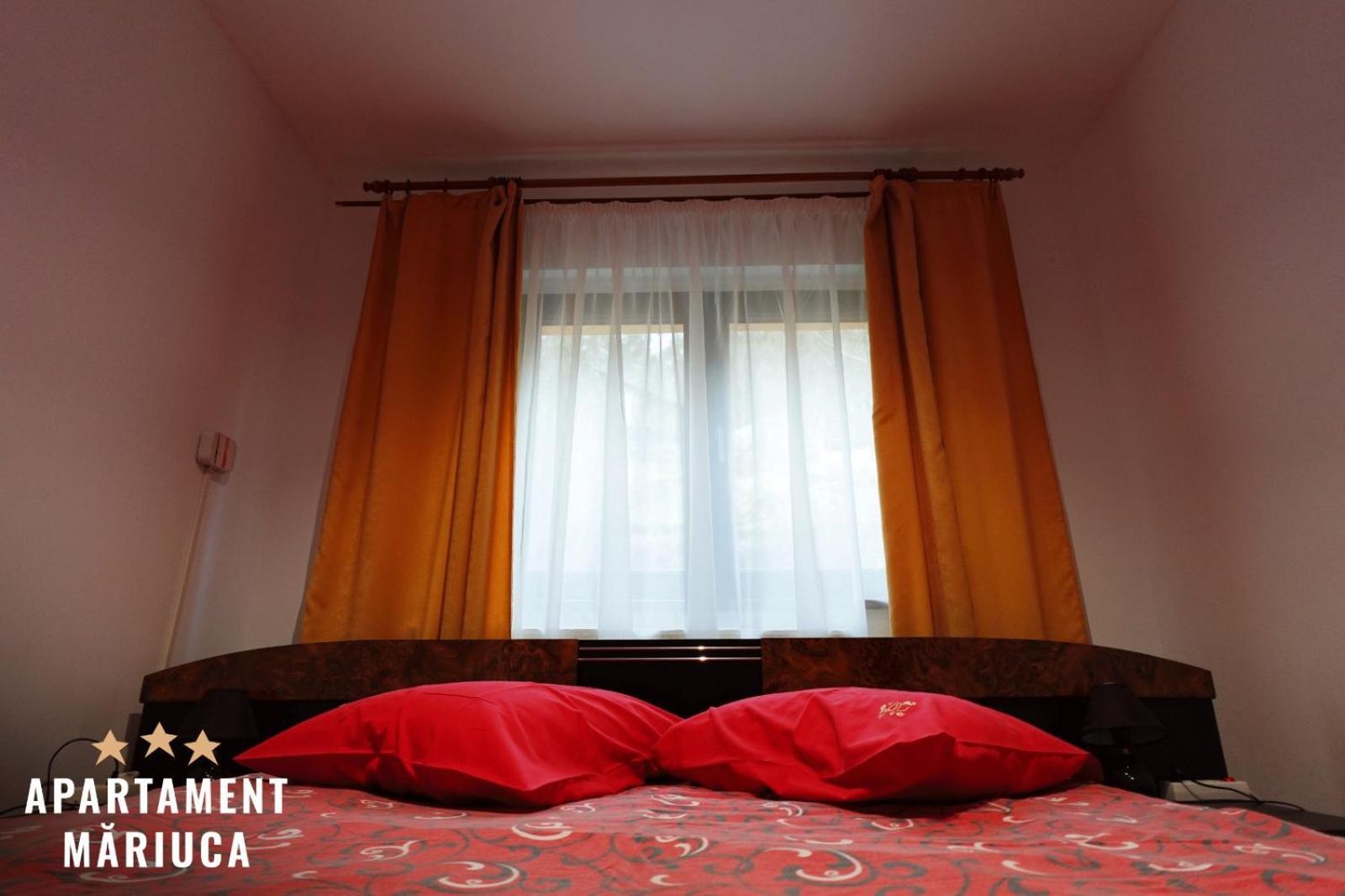 Mariuca Apartament Buşteni Екстериор снимка